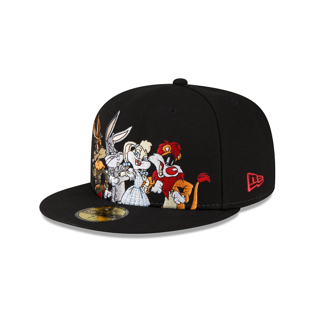 Targa Metallo Looney Tunes Wizard Of Oz - WB 100th Anniversary - Foto 3